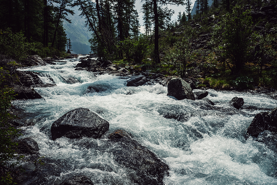 The River Within